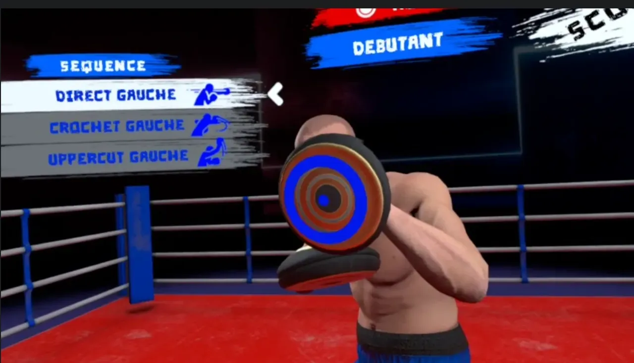 A screenshot of VR Boxing